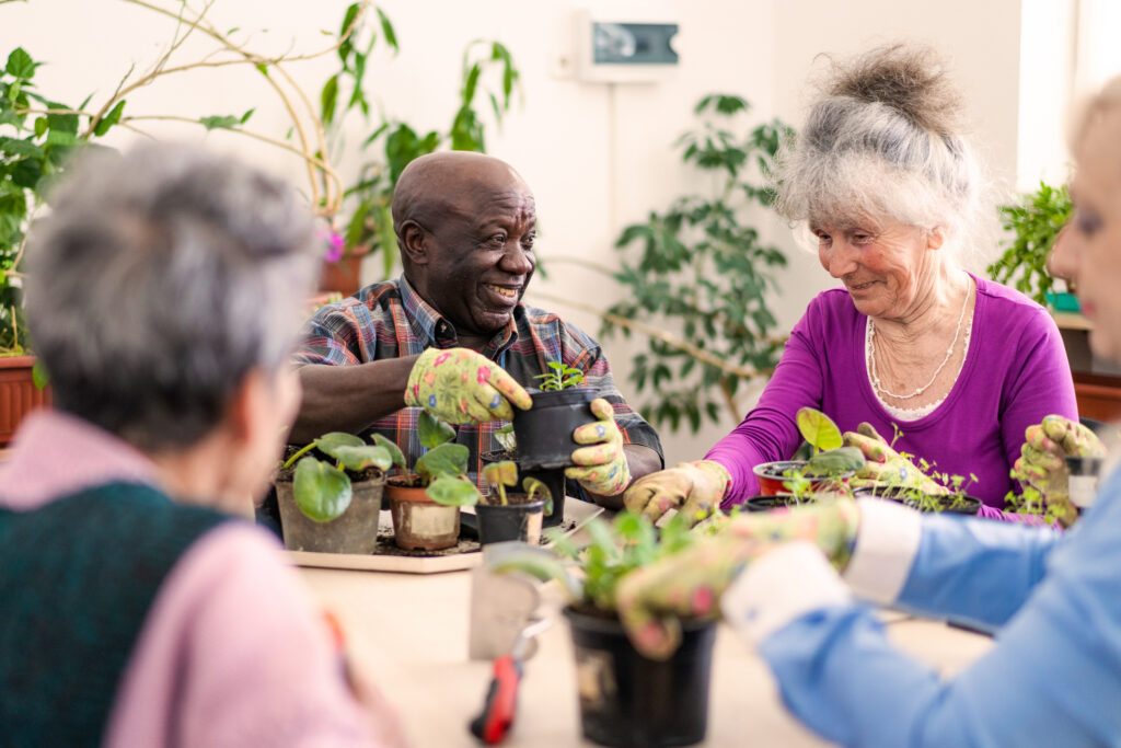 How to Help Seniors Manage Allergies