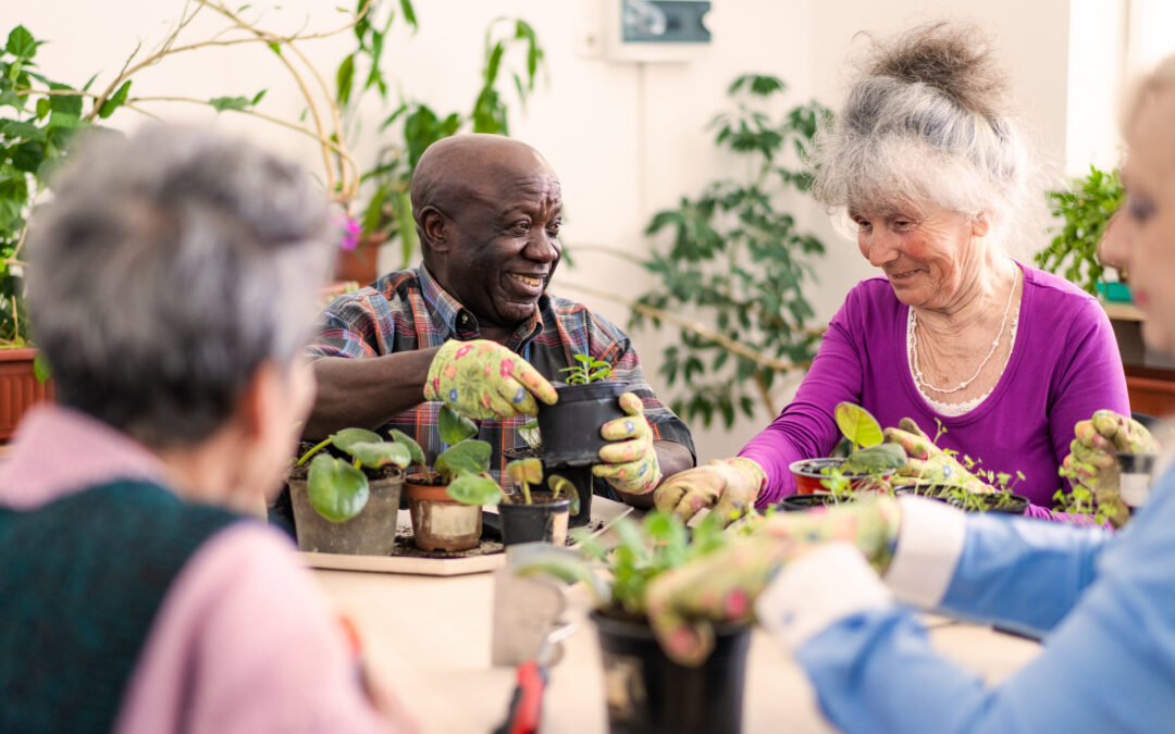 How to Help Seniors Manage Allergies