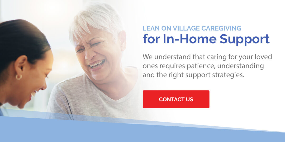 03-Lean-on-Village-Caregiving-for-In-Home-Support